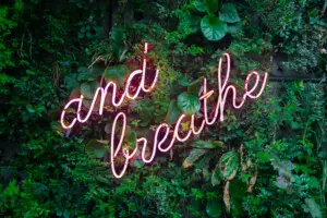 max van den oetelaar buymYm3RQ3U unsplash